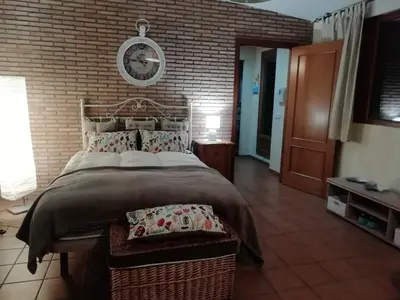 a bedroom with a large bed with a brick wall at Ático Vicario 11 in El Puerto de Santa María
