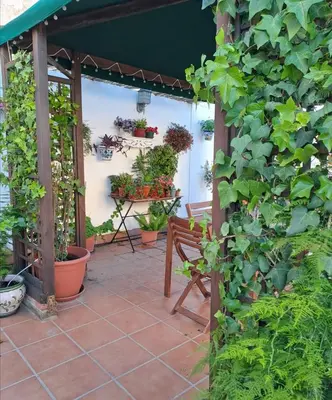 a patio with plants and a wooden pergola at Ático Vicario 11 in El Puerto de Santa María