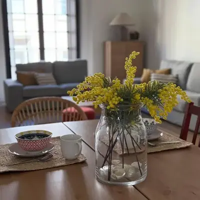 ESPECTACULAR PISO EN PALACIO Preferiblemente familias y mayores de treinta años