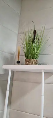 a white shelf with two potted plants on it at Apartamento Prieta in Jerez de la Frontera