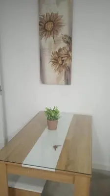 a table with a potted plant on top of it at Apartamento Prieta in Jerez de la Frontera