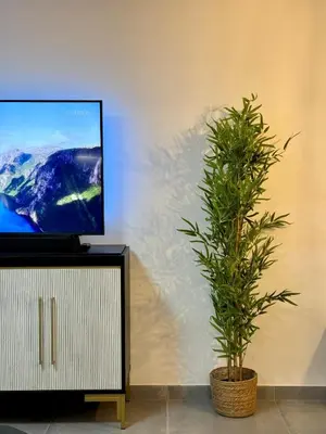 a plant in a pot next to a tv at Apartamento Guadalquivir 34 in Sanlúcar de Barrameda