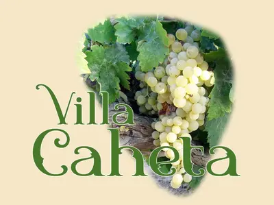 a bunch of white grapes sitting on a table at Villa Caheta in Chipiona