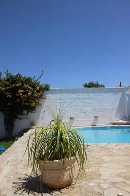 a plant in a pot next to a swimming pool at villa los gallos 10 in Chiclana de la Frontera