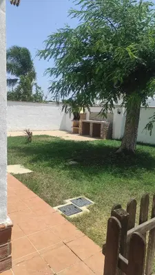 a view of a yard with a tree and a bench at CASA ALBA in Conil de la Frontera