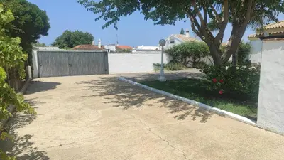 a driveway with a tree and a fence at CASA ALBA in Conil de la Frontera