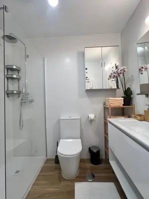 a bathroom with a toilet and a sink and a shower at GATU Rubí in El Puerto de Santa María