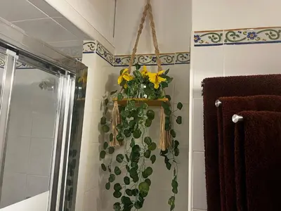 a plant on the wall in a bathroom at El rincón de Malandar in Sanlúcar de Barrameda