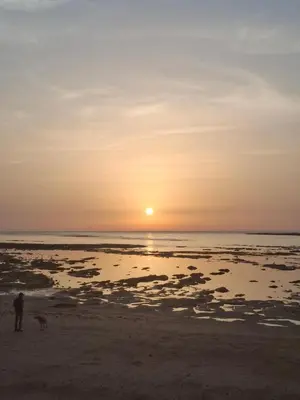 a man and his dog on the beach at sunset at El Falla in Cádiz