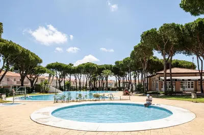 a large swimming pool in a park with trees at Balconera 79 in Chiclana de la Frontera