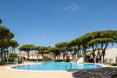 a large swimming pool with trees in the background at Balconera 79 in Chiclana de la Frontera