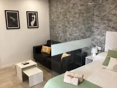a living room with a bed and a couch at Apartamento La Guitarra in Jerez de la Frontera