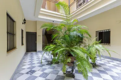 a plant in a room with a checkered floor at Ribera del río - Centro in El Puerto de Santa María