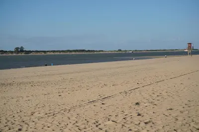 a sandy beach with a body of water at Brisa Marina in Sanlúcar de Barrameda