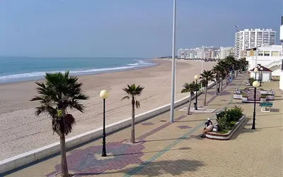 a beach with palm trees and a person sitting on a bench at Estudio patio andaluz in Rota