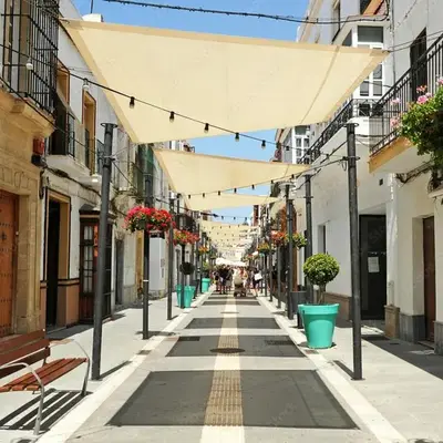Estudio patio andaluz