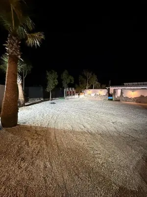 a palm tree on a gravel road at night at Casita Las Palmeras 3 in Cádiz