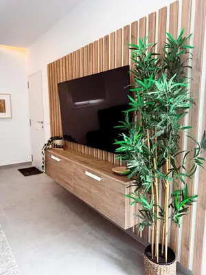 a living room with a tv and two potted plants at Villas tesoro del pirata in Conil de la Frontera