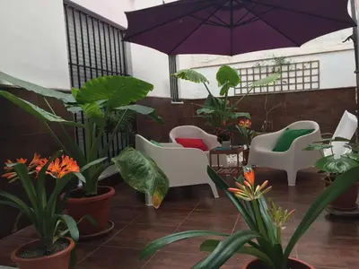 a patio with chairs and plants and an umbrella at San Juan Apartamento in Jerez de la Frontera