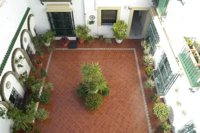 an overhead view of a courtyard with potted plants at Apartamento Los Olivos Jerez in Jerez de la Frontera