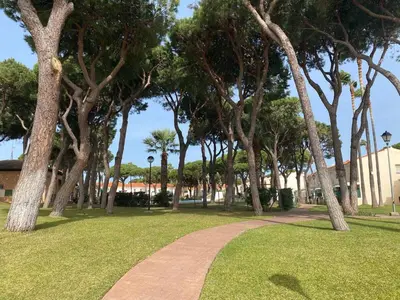 a path in a park with trees and a building at Primera Línea de Playa Casa adosada La Balconera in Chiclana de la Frontera