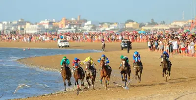 a group of horses racing on the beach at Alojamiento Montero in Sanlúcar de Barrameda