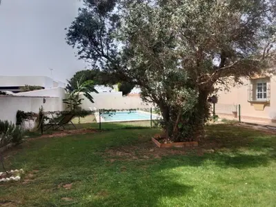 a yard with a tree and a swimming pool at Villa Sofía in Chiclana de la Frontera