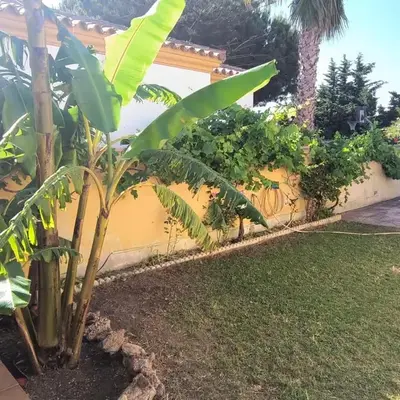Villa Sofía