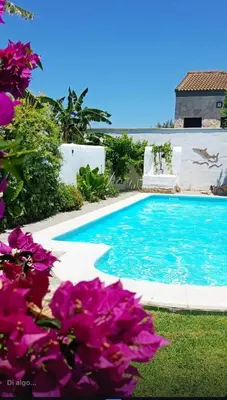 a swimming pool with blue water and purple flowers at Viangel 1 in Conil de la Frontera