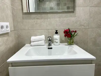 a bathroom sink with a bottle of soap and flowers at GATU Malvasía- Valdelagrana in El Puerto de Santa María