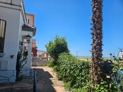 a walkway between a house and a palm tree at Luxury apartment puerto sherry in El Puerto de Santa María