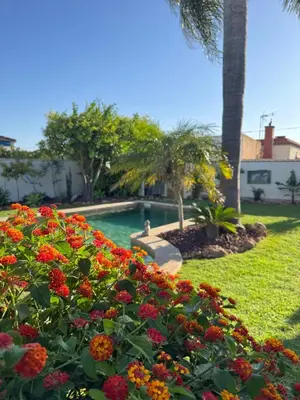 a garden with flowers and a swimming pool at Casa Tropical in Chiclana de la Frontera
