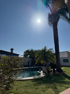 a pool with a palm tree in a yard at Casa Tropical in Chiclana de la Frontera