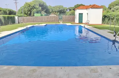 a large pool with blue water in a yard at Urbanización Pinar de Roche 2 in Conil de la Frontera