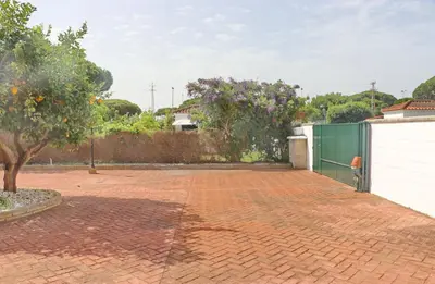 a brick driveway with a tree and a white fence at Urbanización Pinar de Roche 2 in Conil de la Frontera