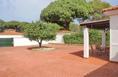a patio with a tree and a table and chairs at Urbanización Pinar de Roche 2 in Conil de la Frontera