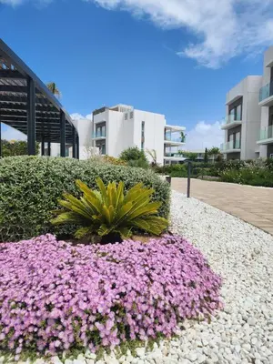 a bunch of pink flowers in front of a building at ELEVENLIGHTS-COSTABALLENA Garden View in Costa Ballena