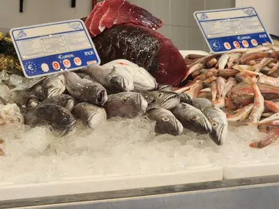 a display of seafood on display in a store at ELEVENLIGHTS-COSTABALLENA Garden View in Costa Ballena