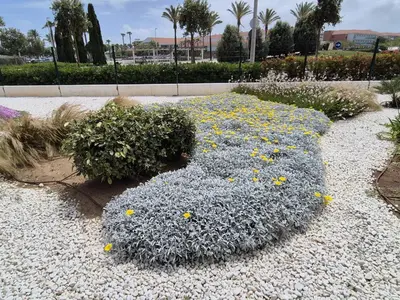 a garden with a bunch of flowers on the ground at ELEVENLIGHTS-COSTABALLENA Garden View in Costa Ballena