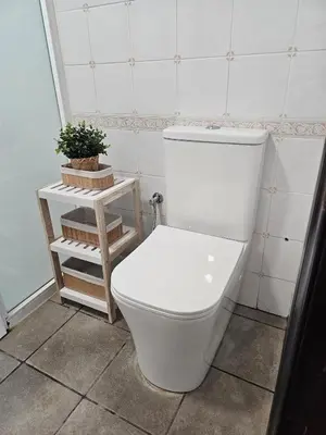 a white toilet in a bathroom with a plant at La Casita in Chiclana de la Frontera