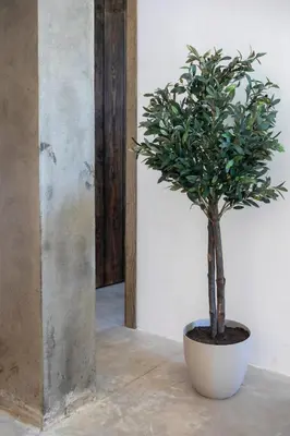 a plant in a white pot sitting on a floor at Montijo Relax and Sunny Private Pool in Cádiz