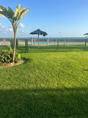 a palm tree in a field with the ocean in the background at FUENTEBRAVIA playa MRZ RENTALS in El Puerto de Santa María