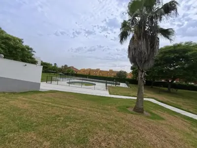 a palm tree in a field with a skate park at Dúplex El Lago free parking by staycare in Rota