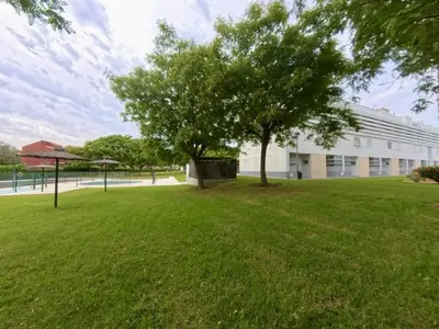 a tree in a field in front of a building at Dúplex El Lago free parking by staycare in Rota