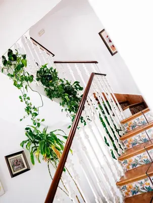 a spiral staircase with plants on the wall at HOTEL Paquita in Chipiona
