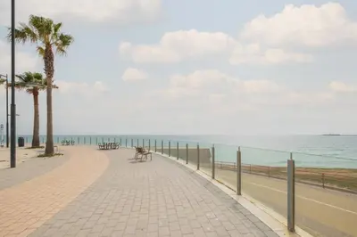 a dog walking down a sidewalk next to the beach at Pez Austral in Cádiz