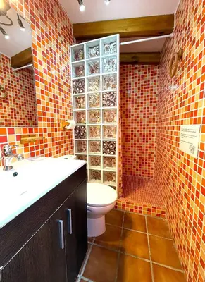 a bathroom with a toilet and a sink and a shower at Villa La Alegría in Conil de la Frontera