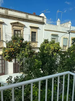 a white building with orange trees in front of it at Casa El Puerto in El Puerto de Santa María