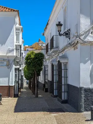 a city street with white buildings and a tree at Casa Bombón in Medina Sidonia