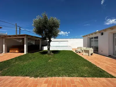 a tree on a lawn in front of a house at Apartoyou - Puerto Paradise in Inmaculada